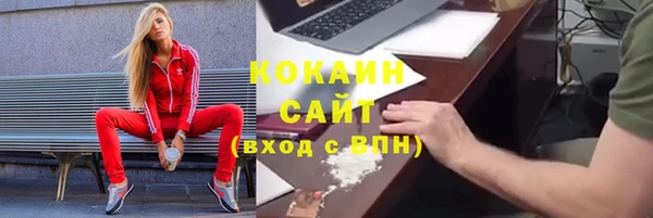 дмт Заречный