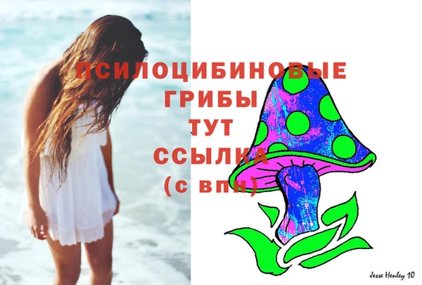 ECSTASY Армянск