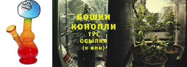 СК Зарайск