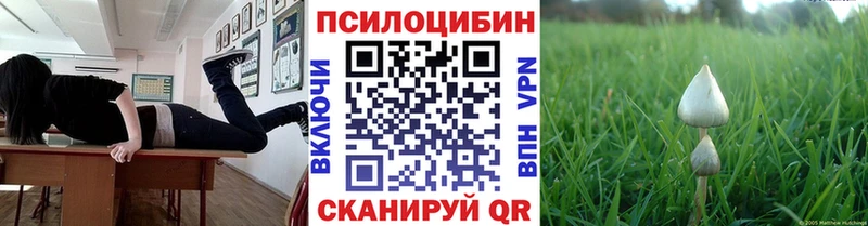 Галлюциногенные грибы Psilocybine cubensis  наркотики  Дудинка 